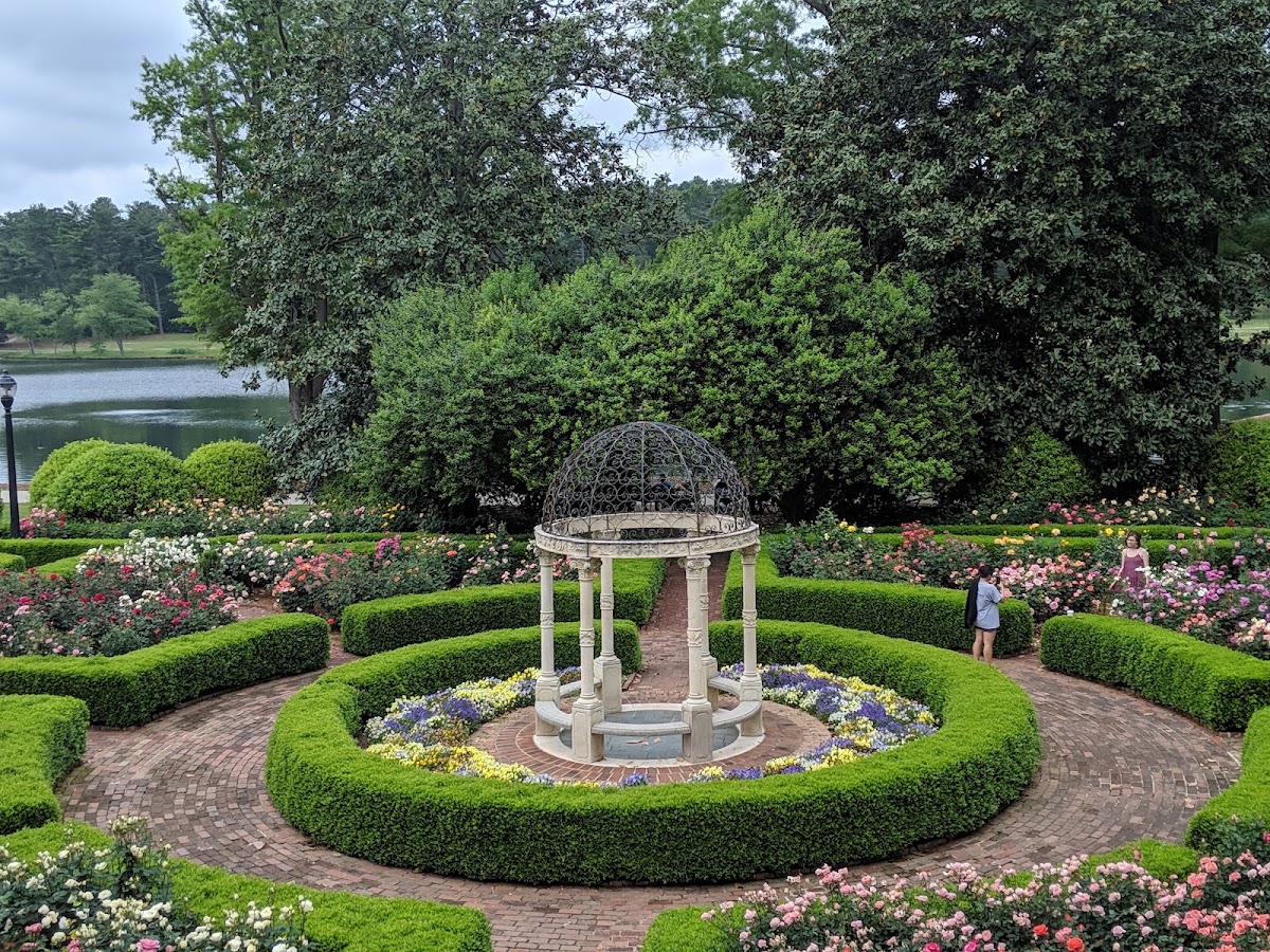 Furman Rose Garden