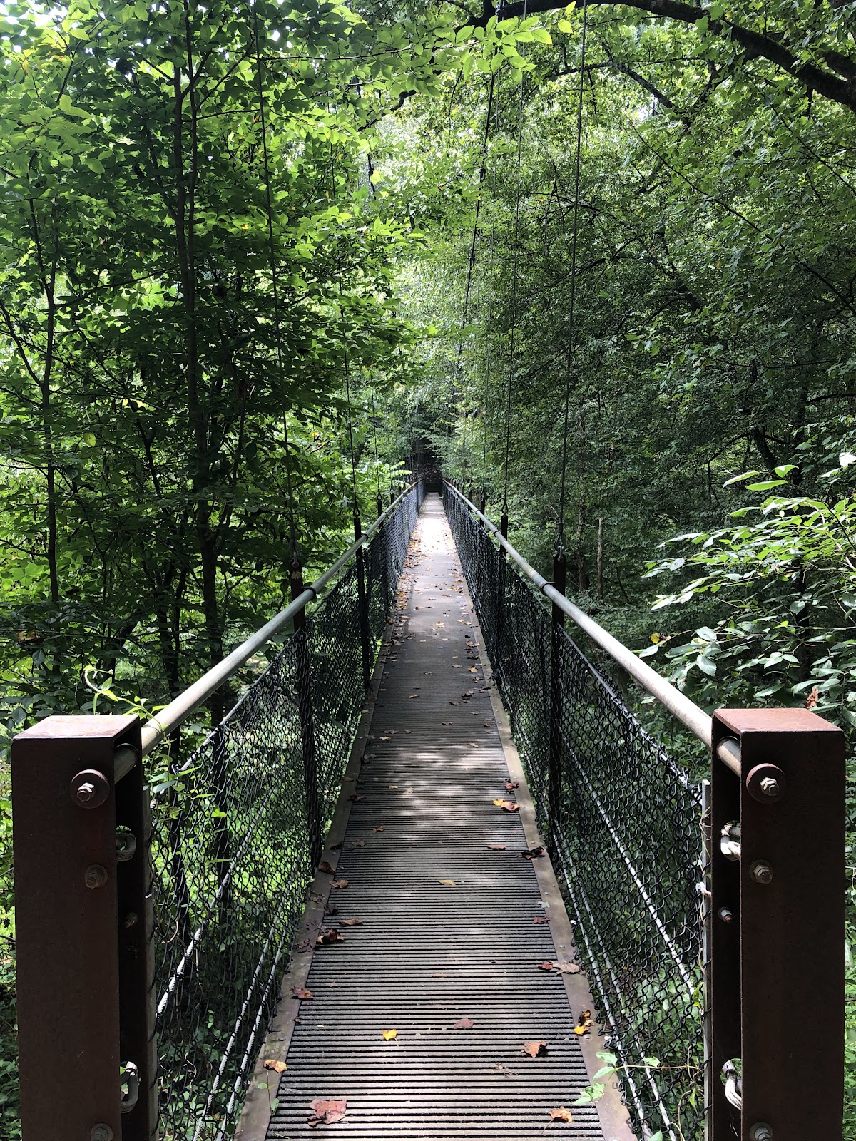 Lullwater Preserve