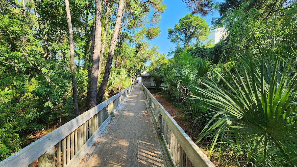 Folly Field Beach Park