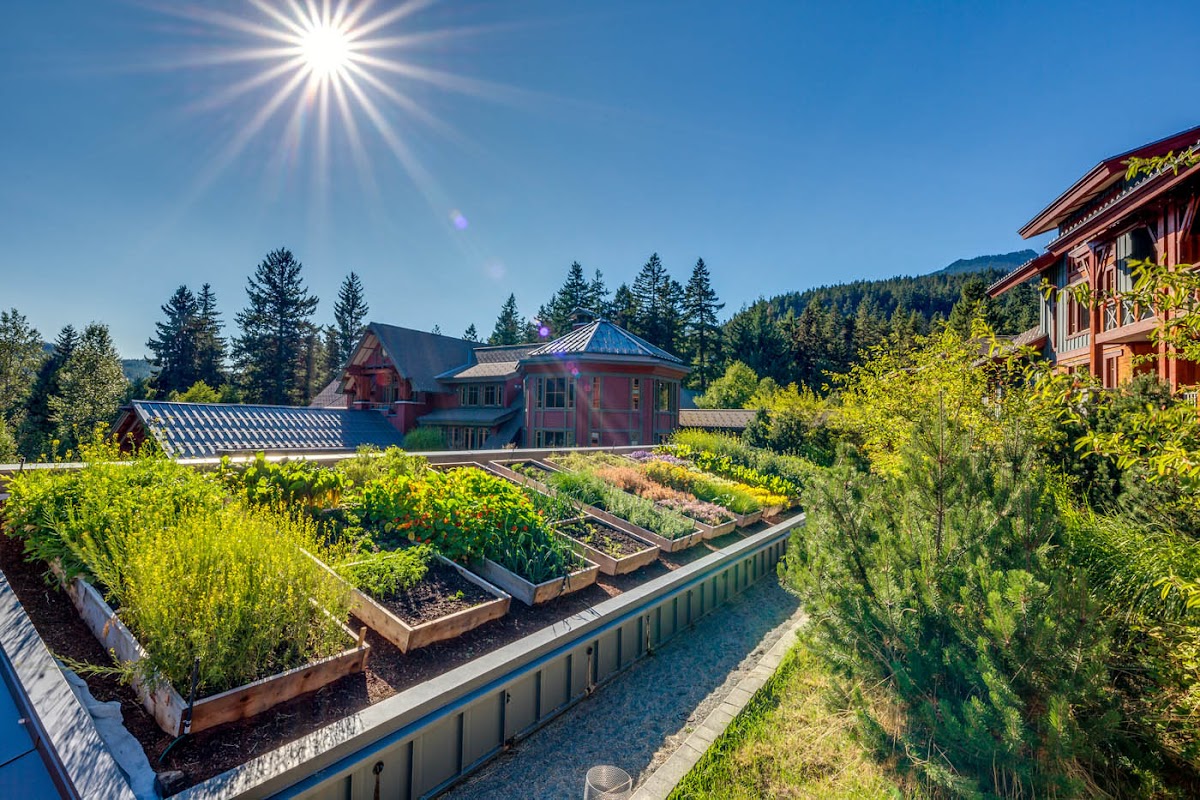 Nita Lake Lodge