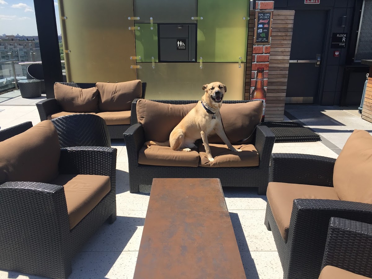 Best Rooftop Bars and Restaurants in DC