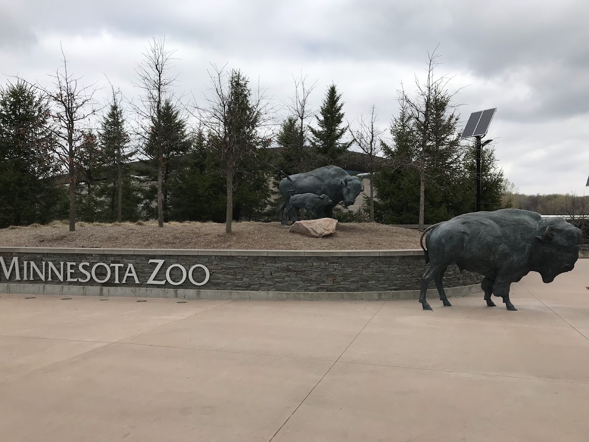 Minnesota Zoo