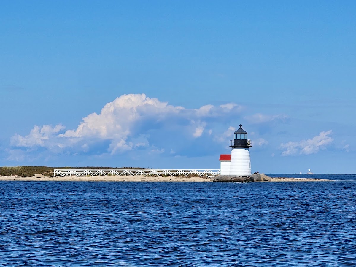 Endeavor Sailing Excursions