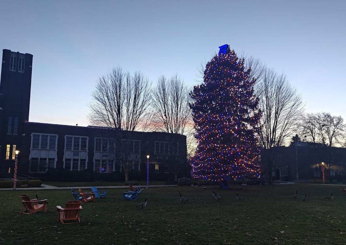 The Quad