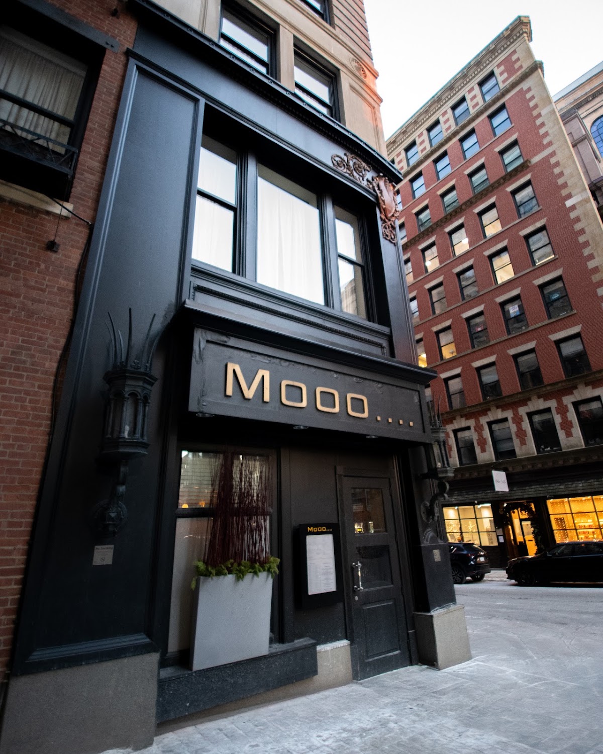 Mooo Beacon Hill