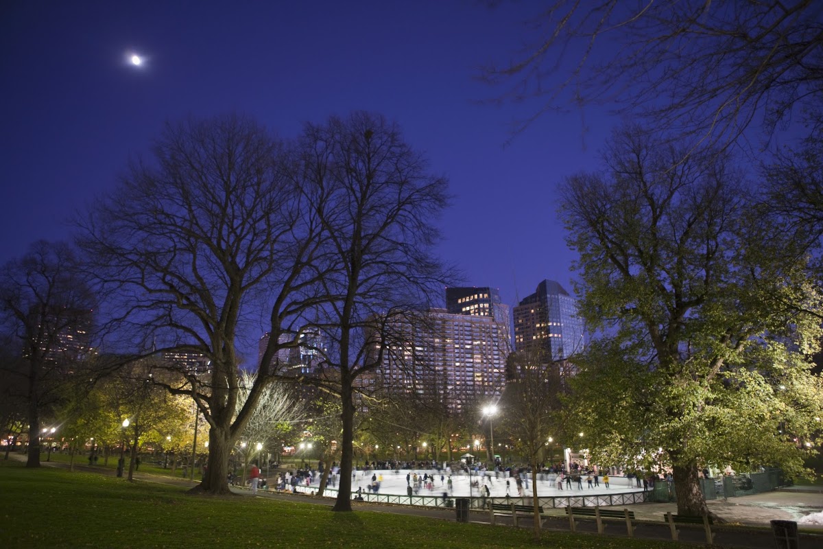 1. Boston Common Frog Pond
