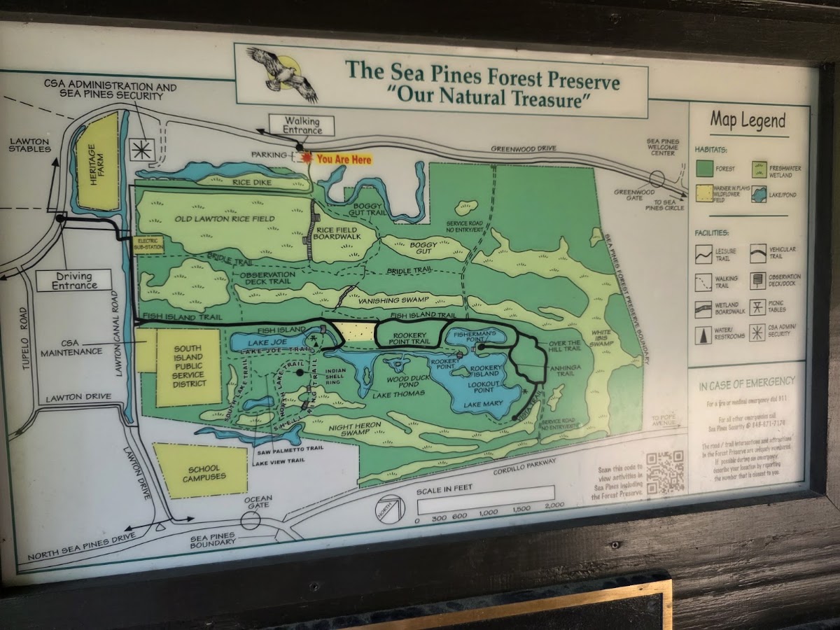 Sea Pines Forest Preserve