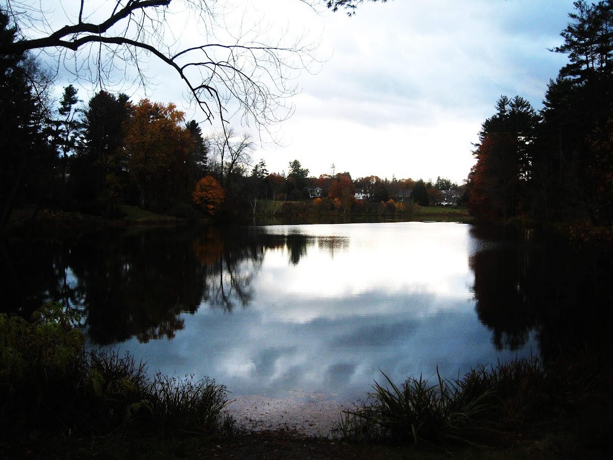 Occom Pond
