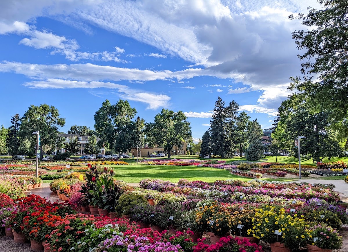 CSU Annual Flower Trial Gardens