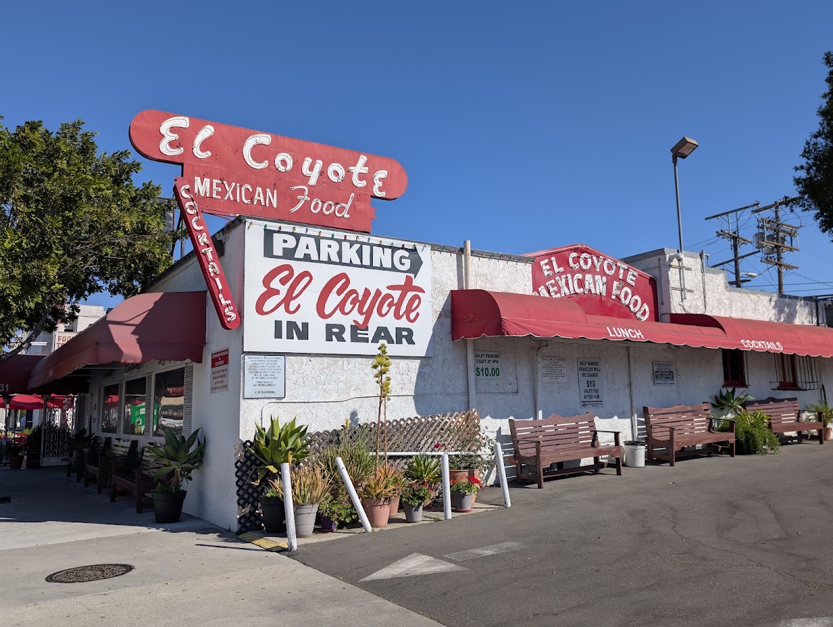 El Coyote