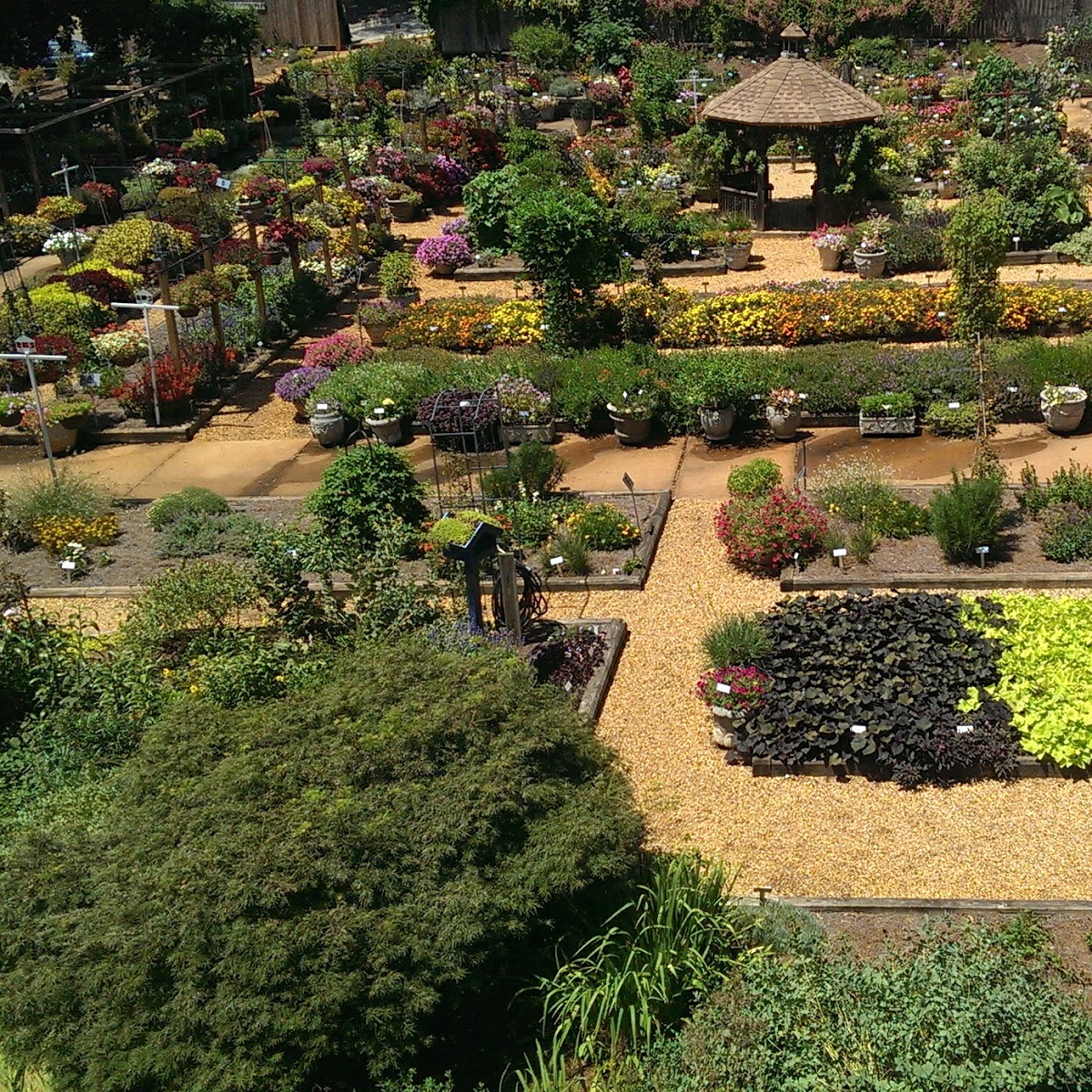 Trial Gardens