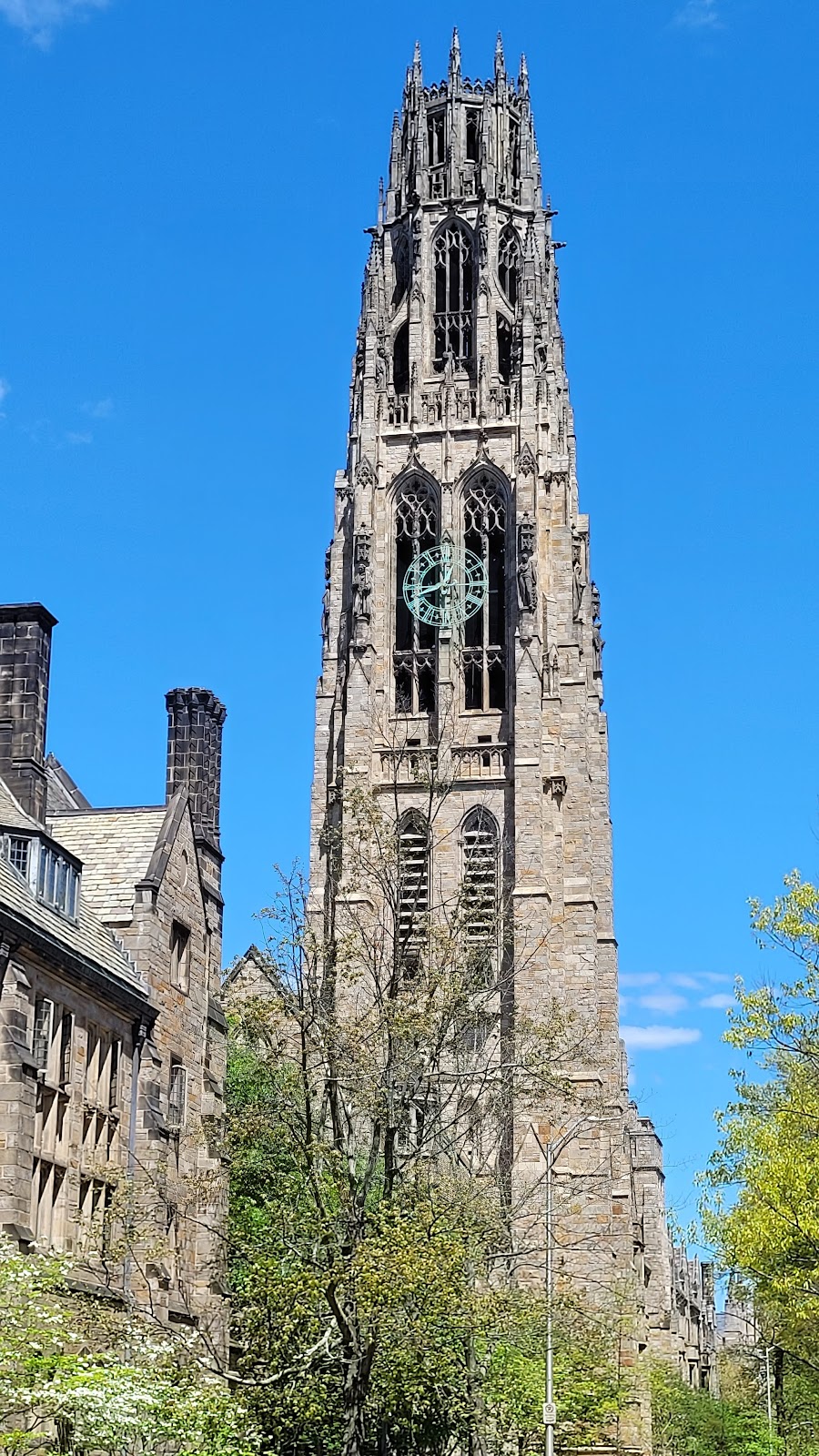 Yale University Guide: Where to Eat, Drink & Stay in New Haven (2026)