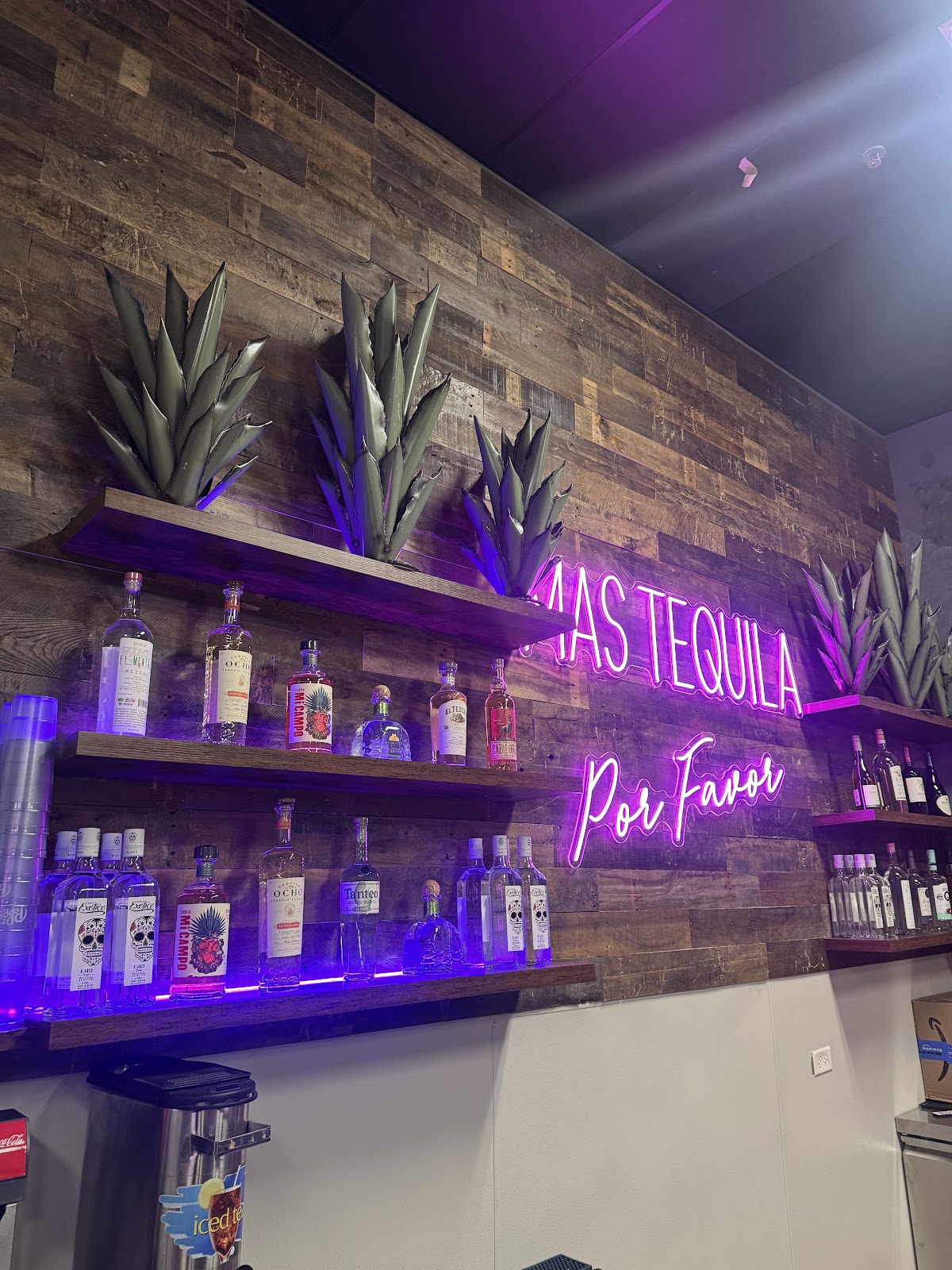 Por Favor Tacos & Tragos Northgate