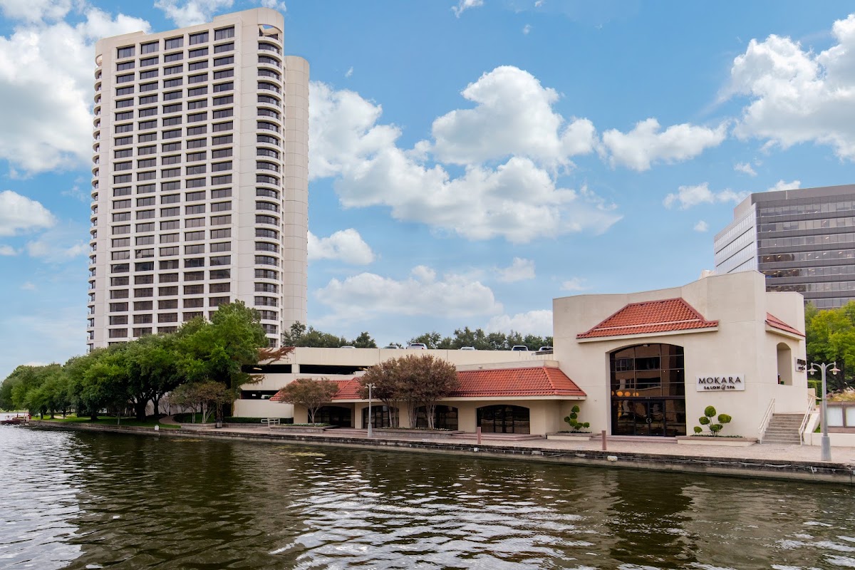 Omni Las Colinas Thanksgiving Brunch