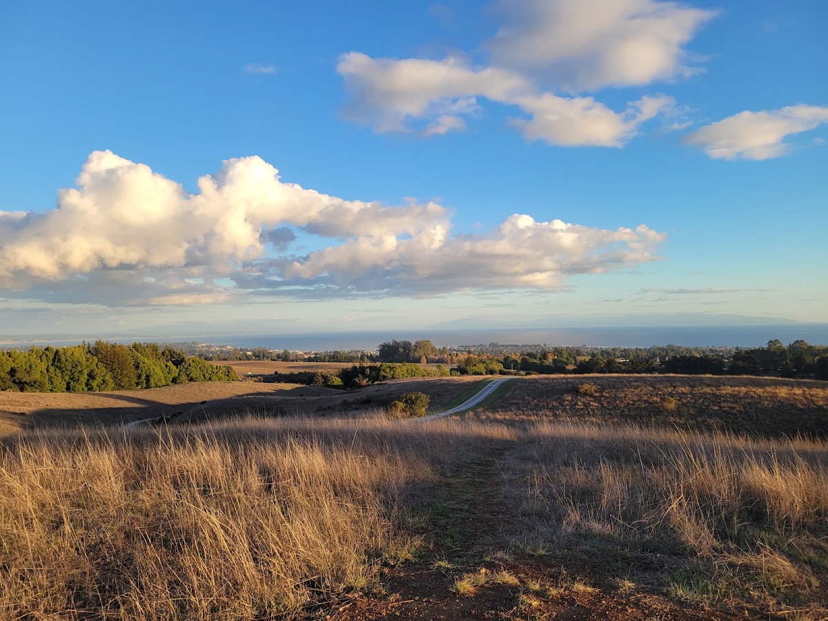Great Meadow