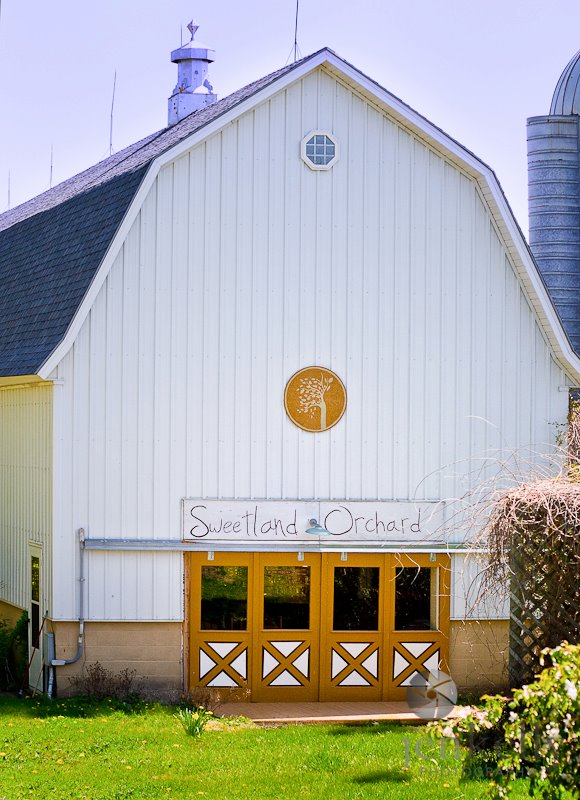 Sweetland Orchard