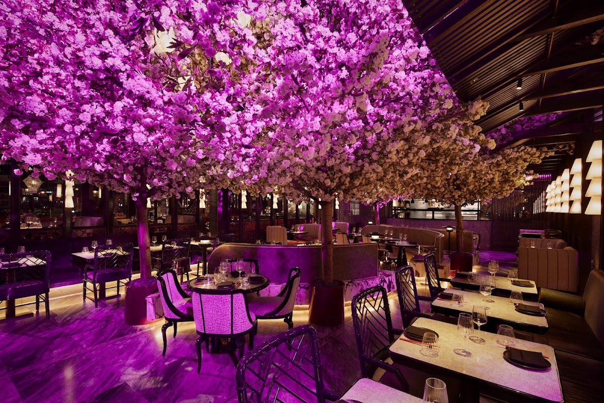 Date Night Restaurants in London