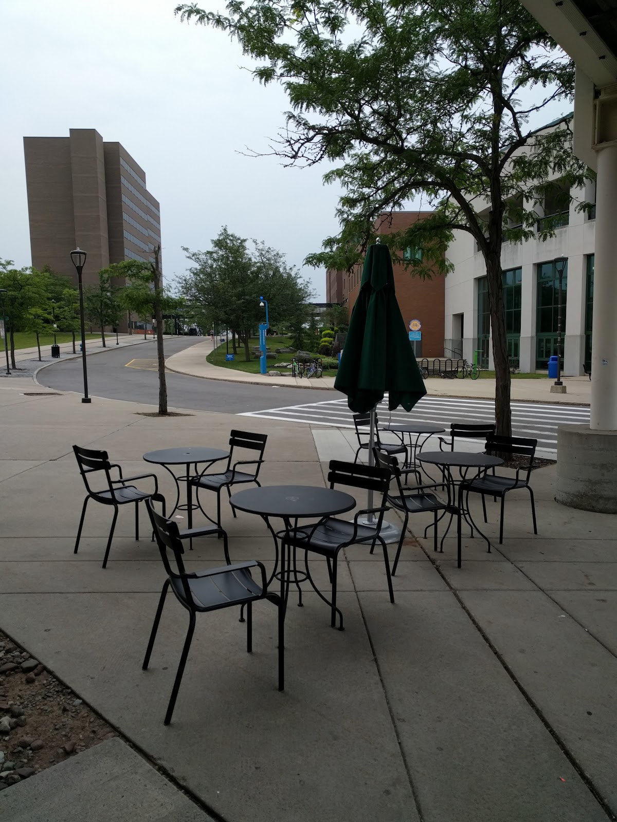 Starbucks Coffee Company