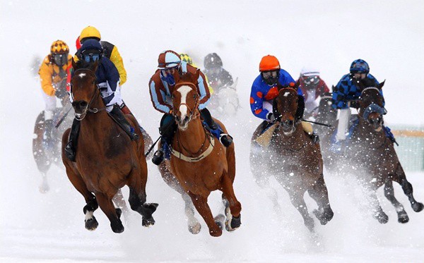 Rennverein St. Moritz - White Turf