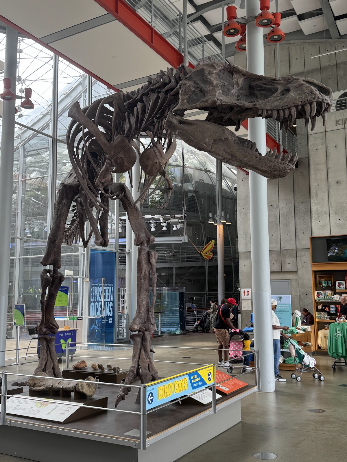 Fright NightLife at the California Academy of Sciences