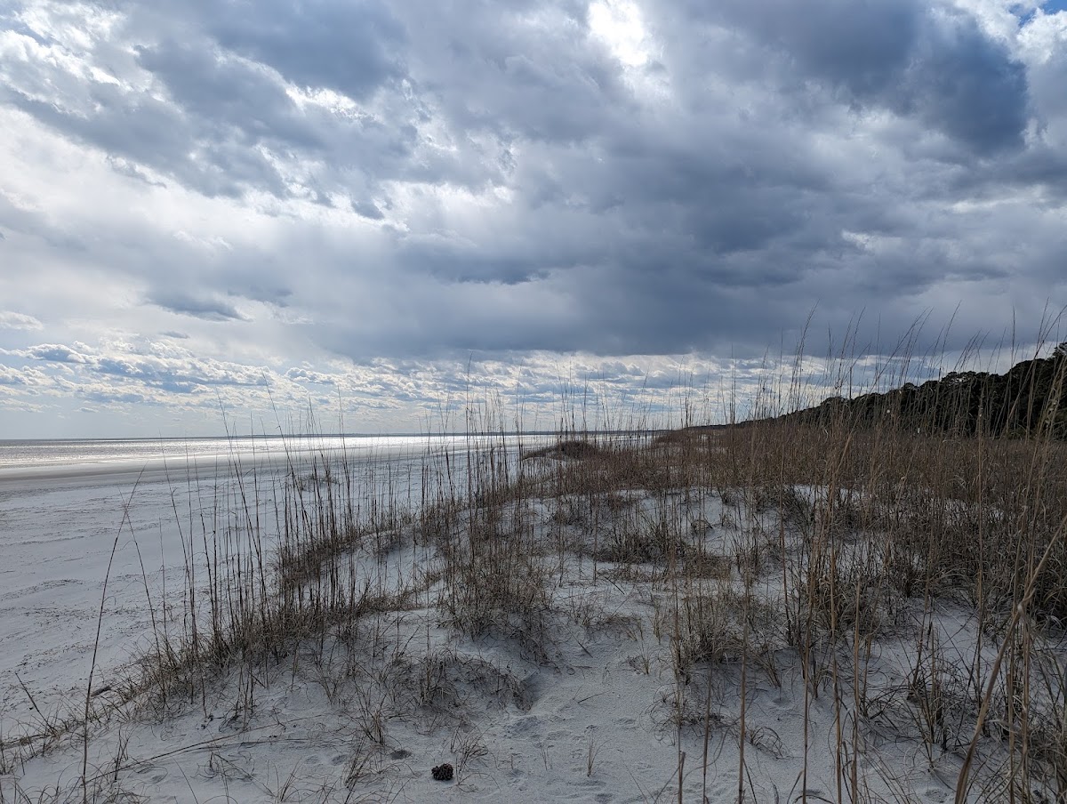 Alder Lane Beach Access
