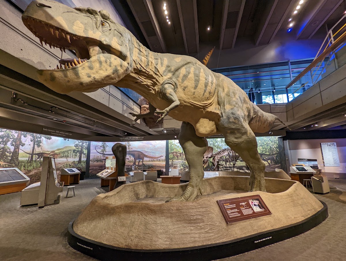 Museum of Science, Boston — a T. rex in the museum's exhibit hall overlooking the Charles River