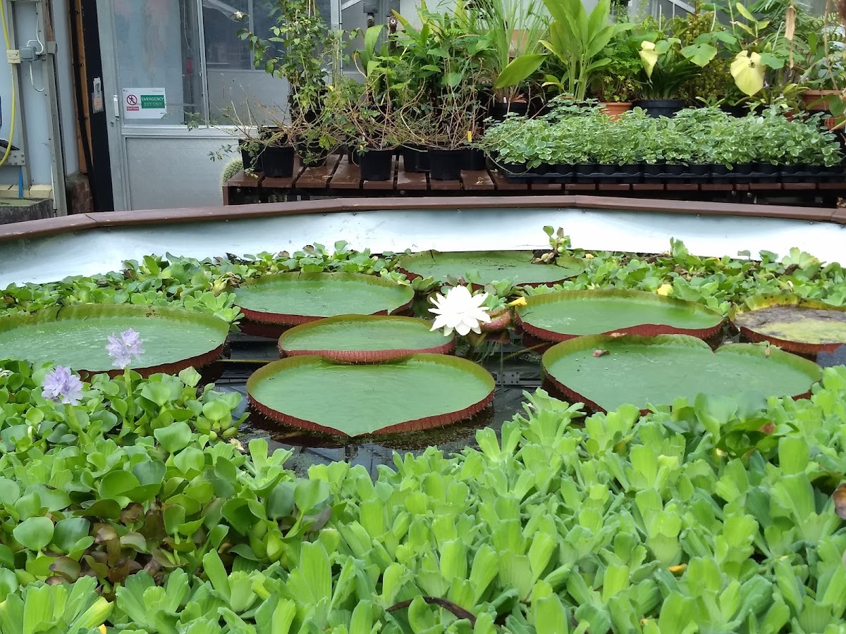 Botanic Garden