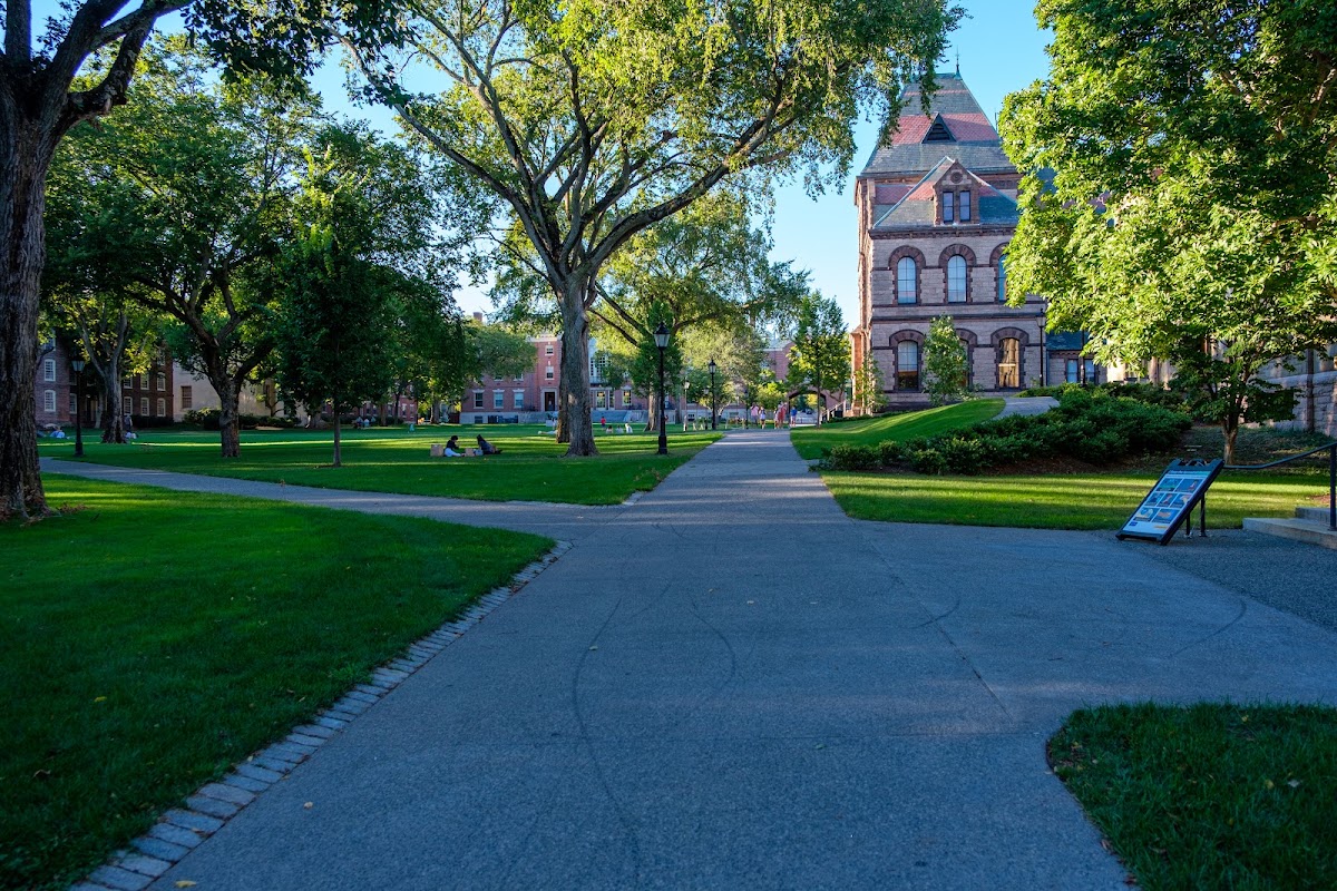 Main Green