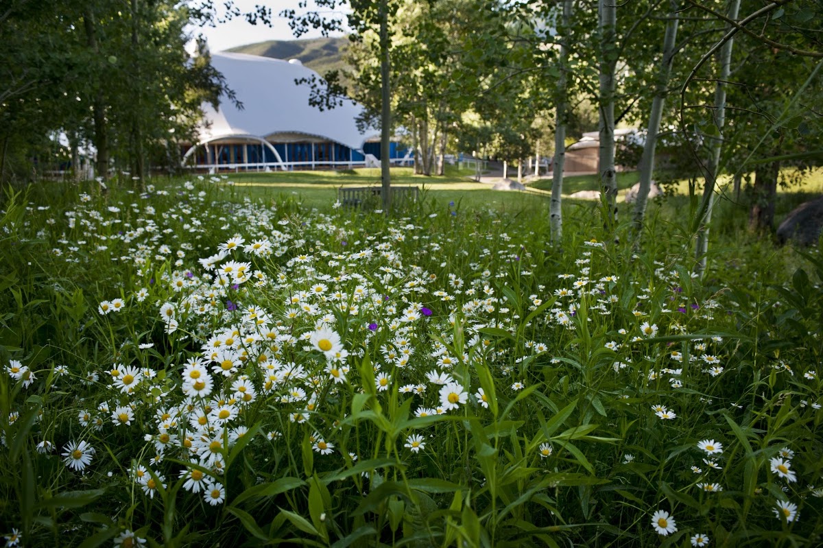 Aspen Music Festival and School