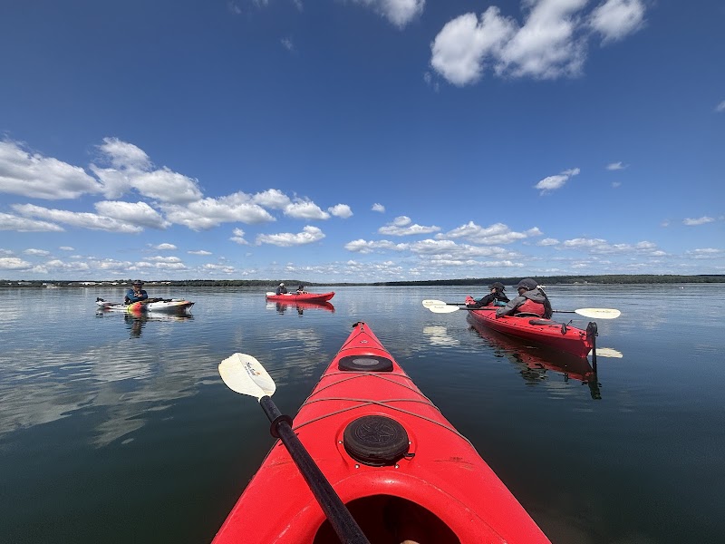 Acadia Sea Kayaking Adventures