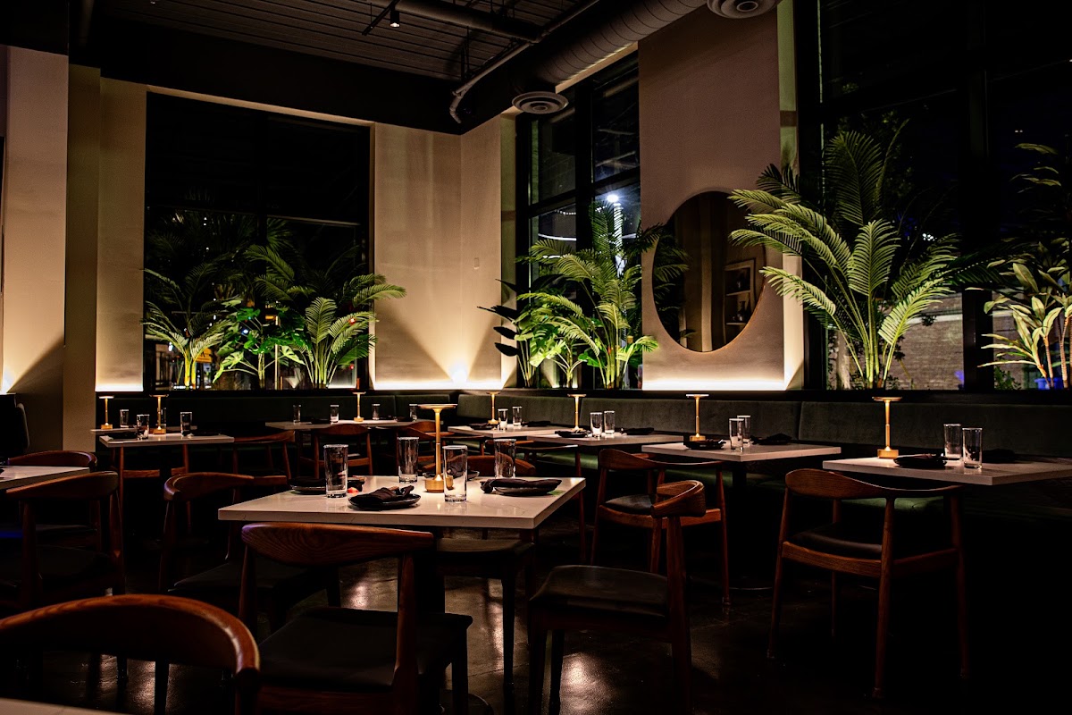XO Brasserie