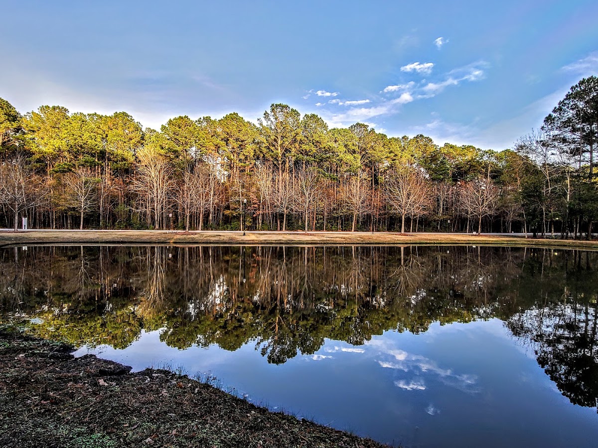 North Mount Pleasant: Liberty Hill Farm and Carolina Park
