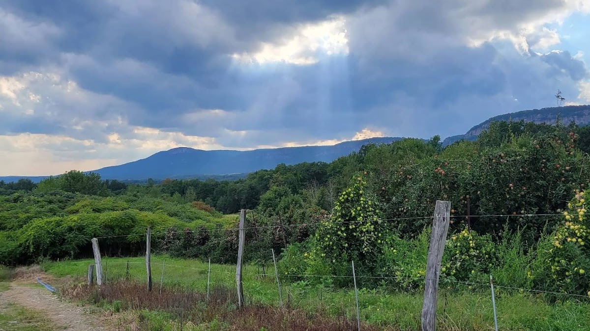 Jenkins - Lueken Orchards