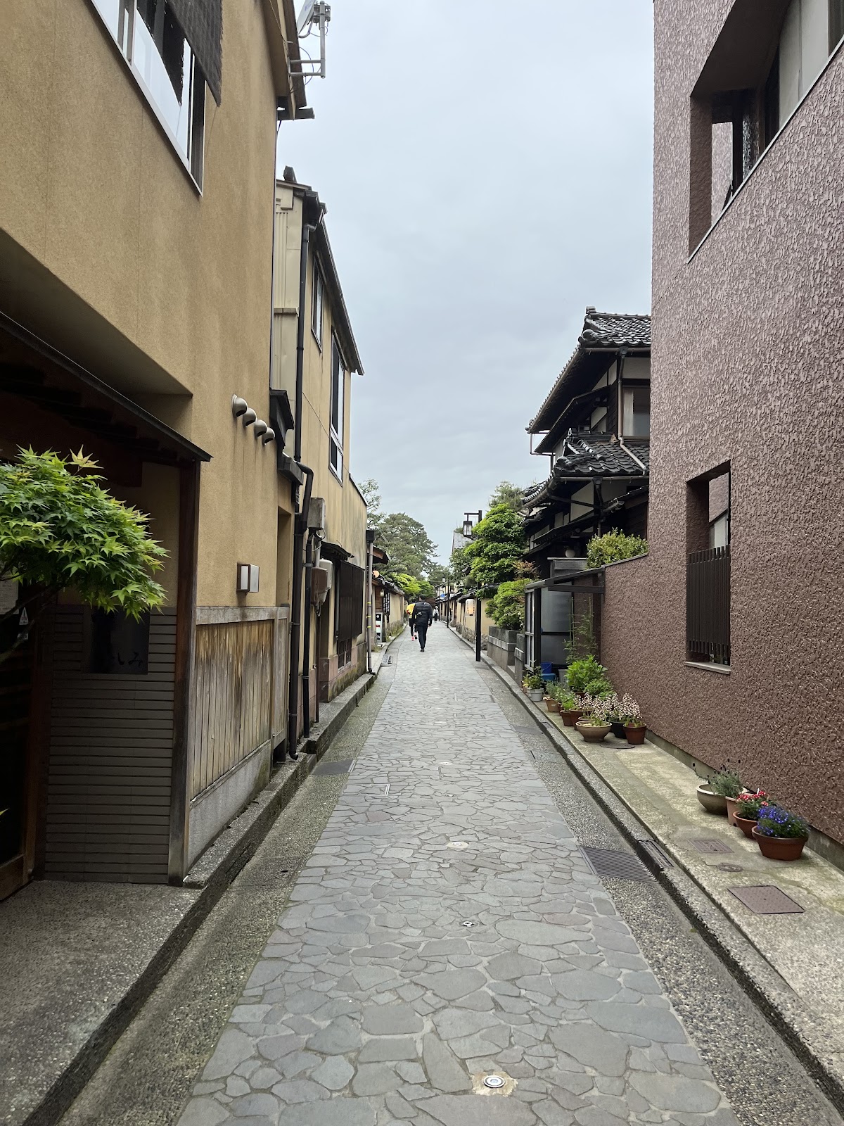 Cold Breeze, Calm Mind