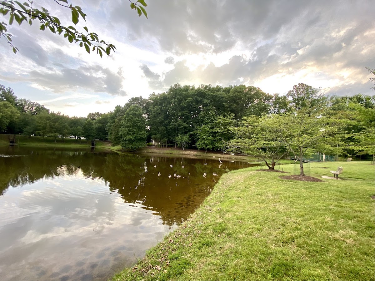 Mason Pond