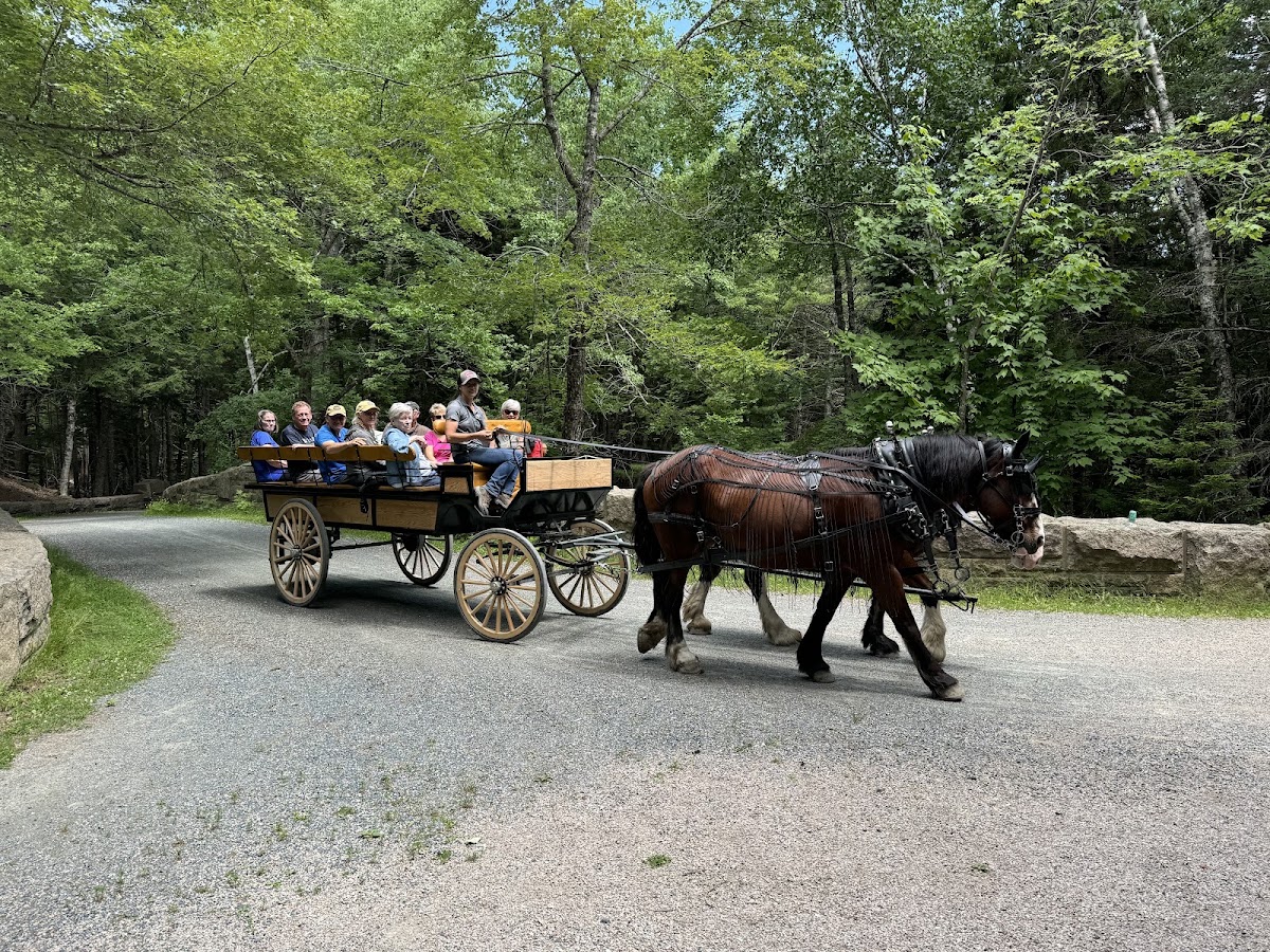 Acadia by Carriage