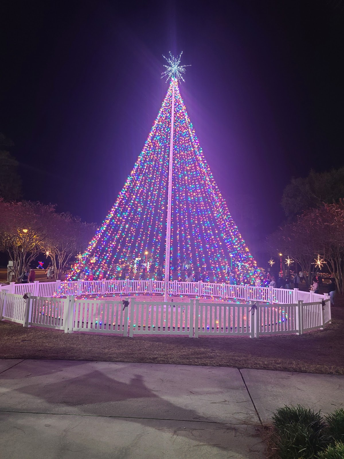 Christmas in the Circle