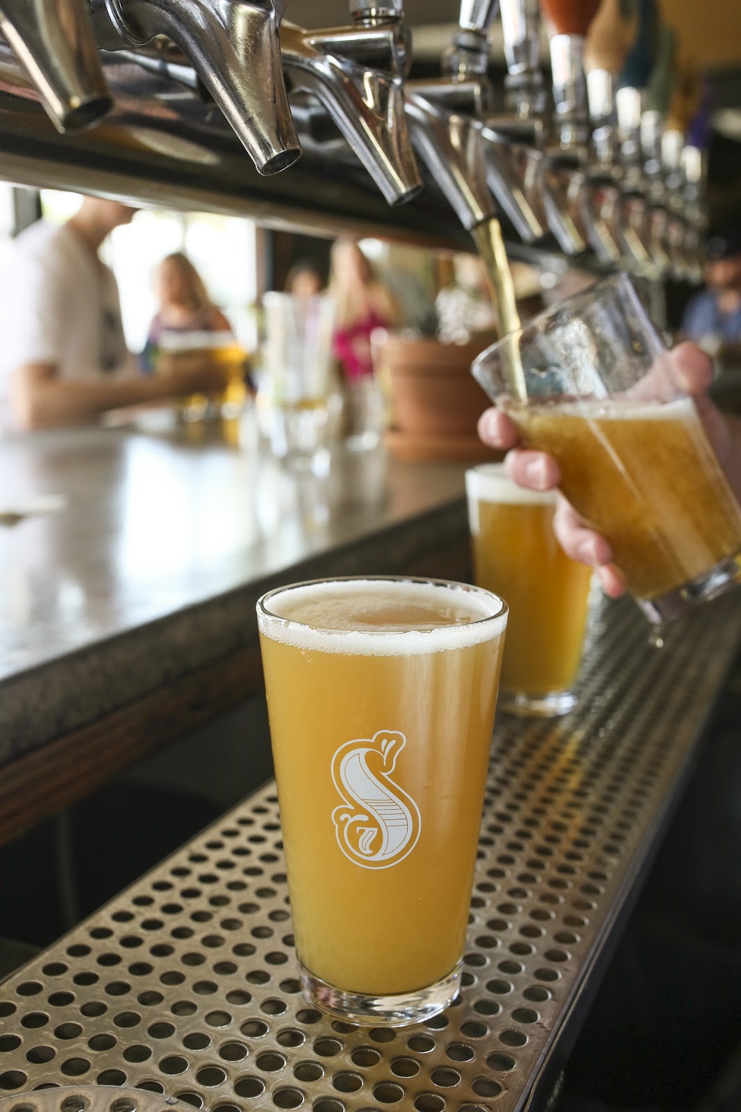 Seventh Son Brewing Co.