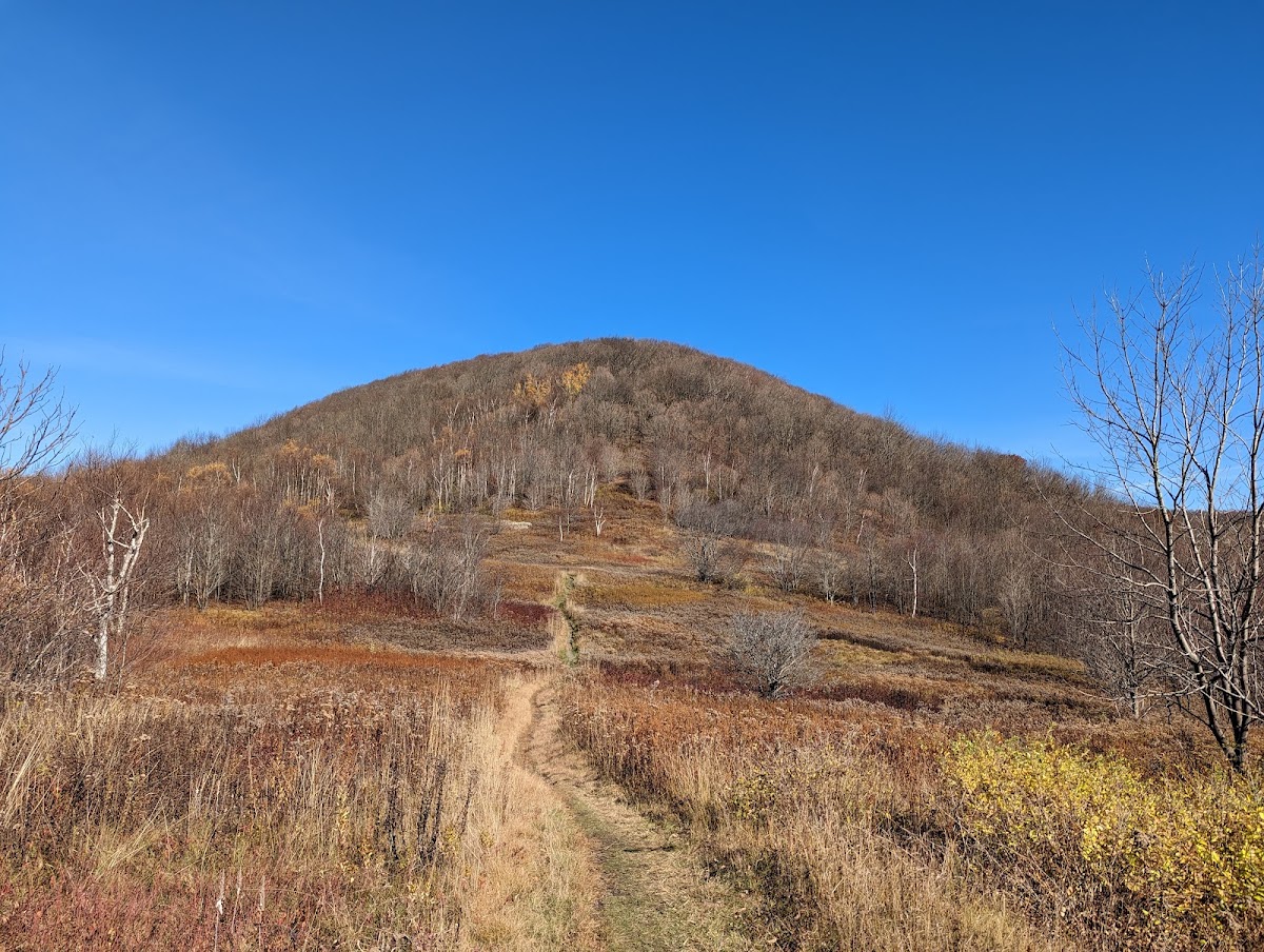 Mount Greylock State Reservation