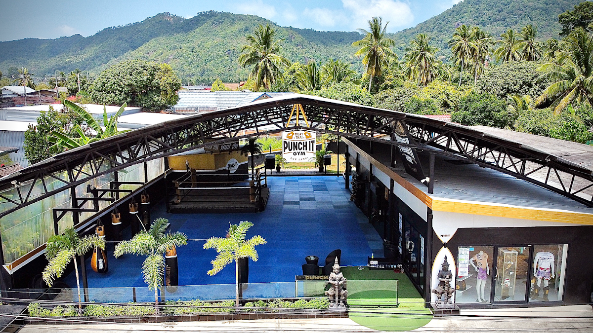 From Ko Samui Buzz to Island Bliss