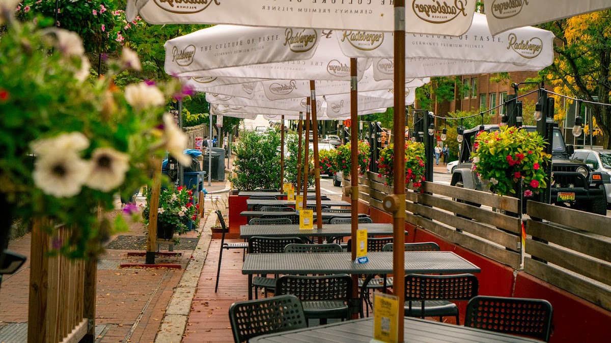 Shay's Pub & Wine Bar