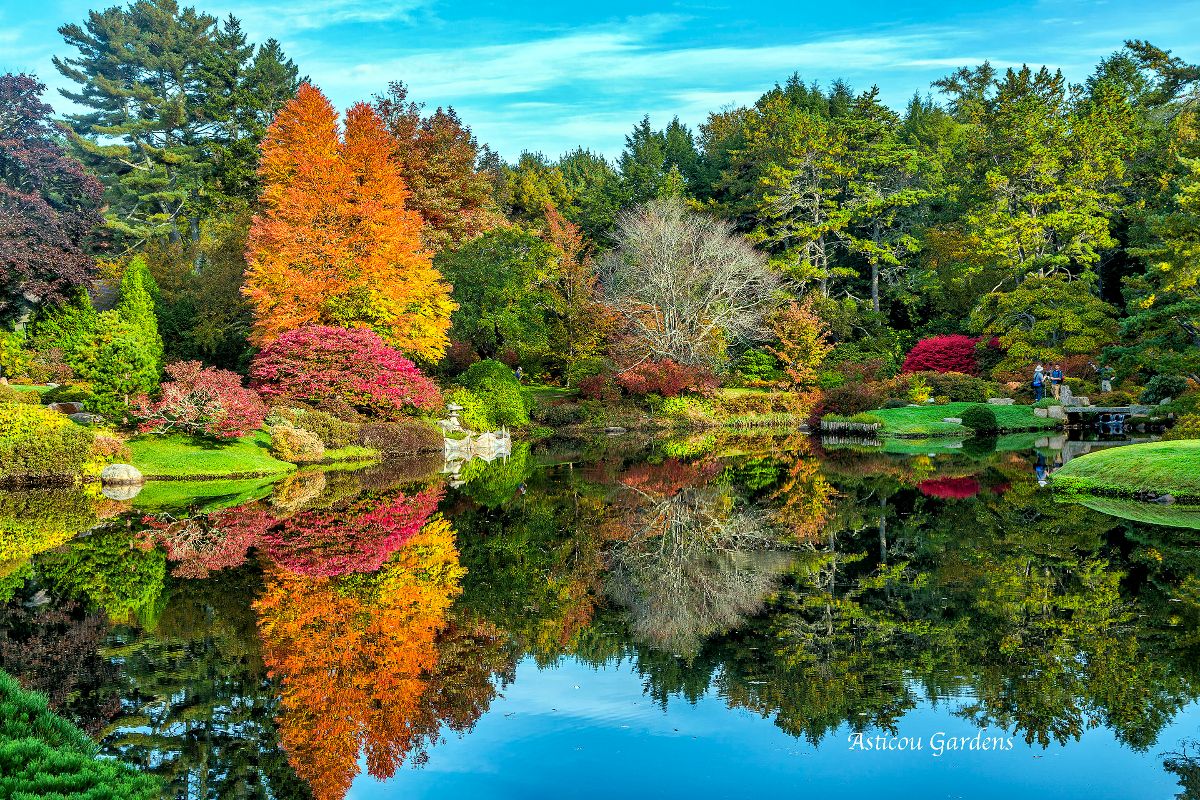 Asticou Azalea Garden