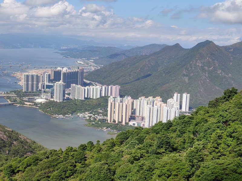 The Rhythm of Hong Kong