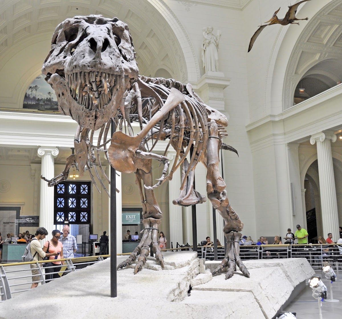 Field Museum — SUE the T. rex in the museum's grand hall on Chicago's Museum Campus