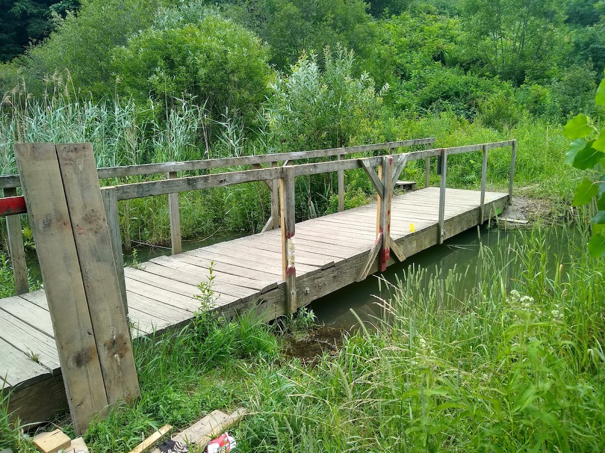 Centennial Woods Natural Area