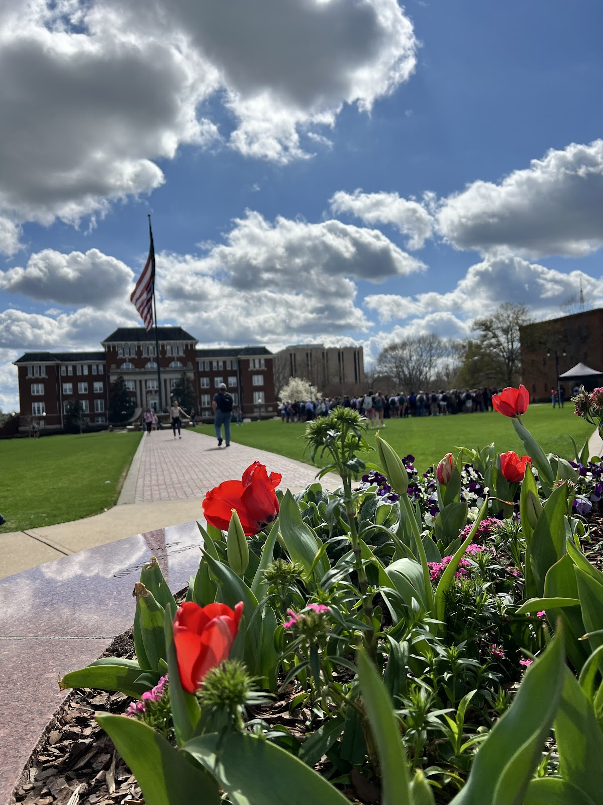 Drill Field