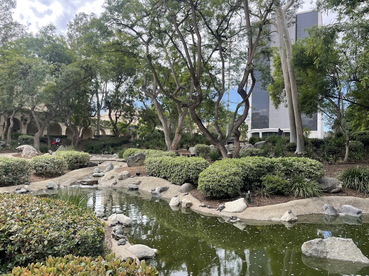Throop Memorial Garden