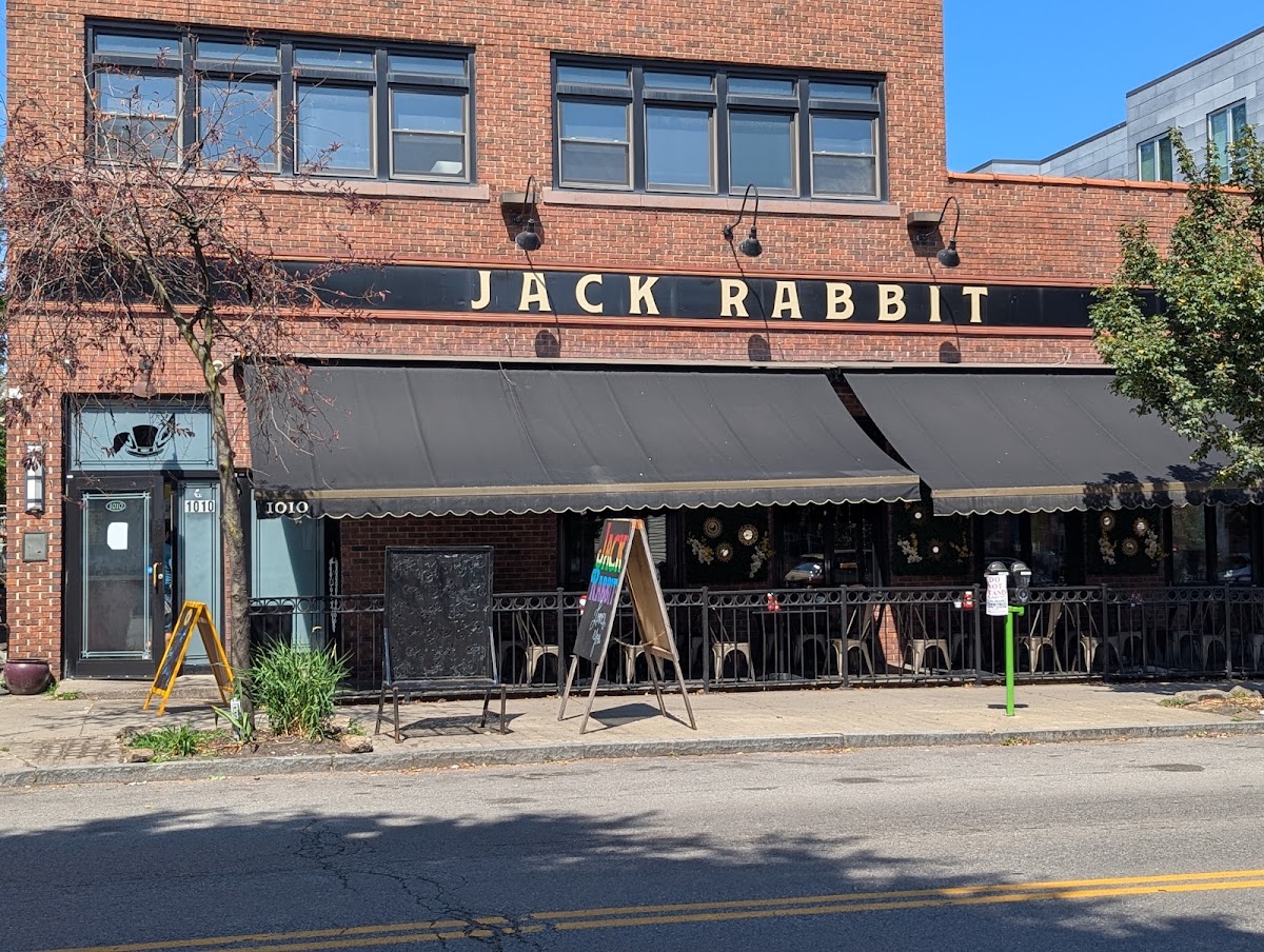 Jack Rabbit