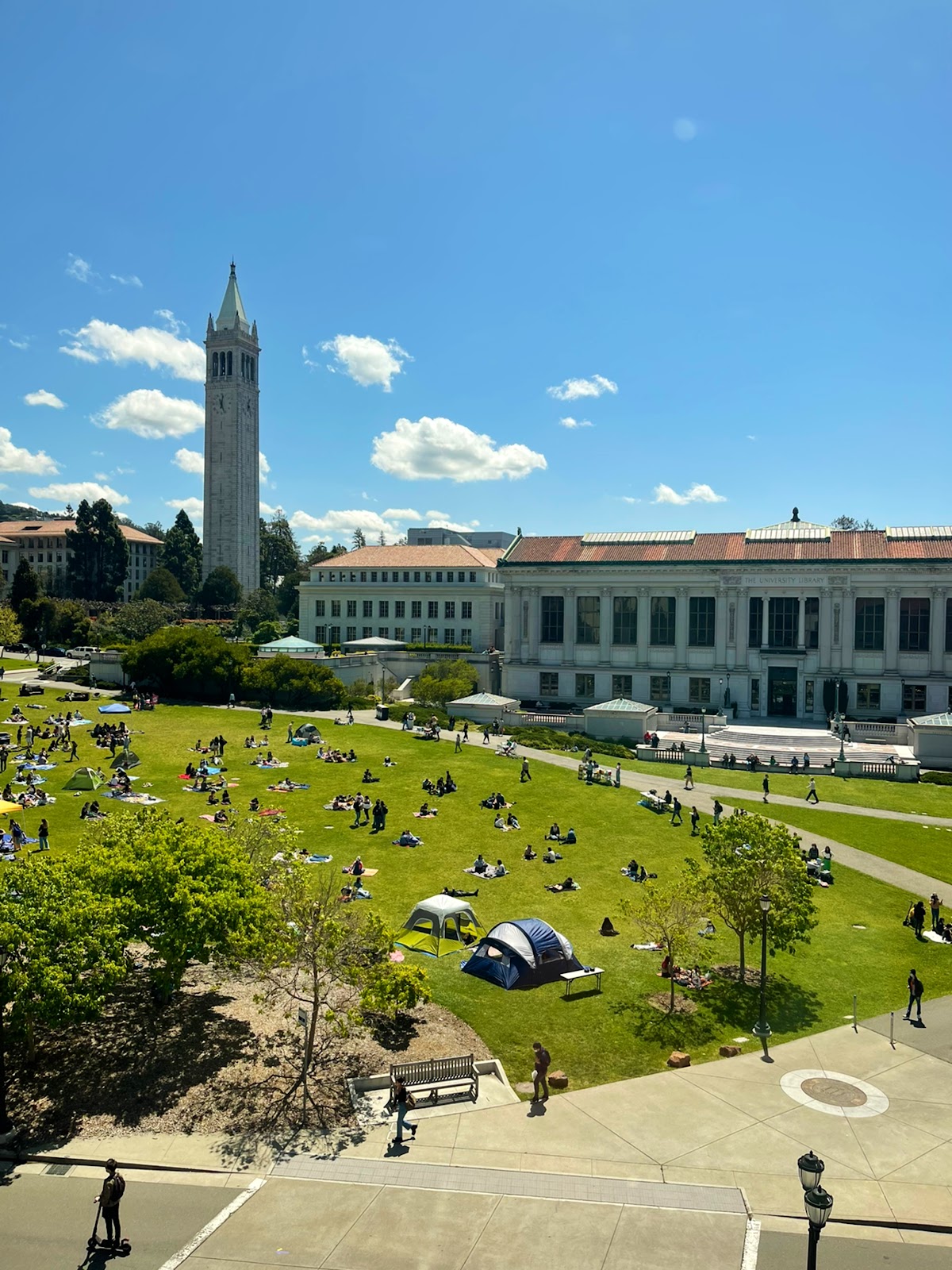 Memorial Glade