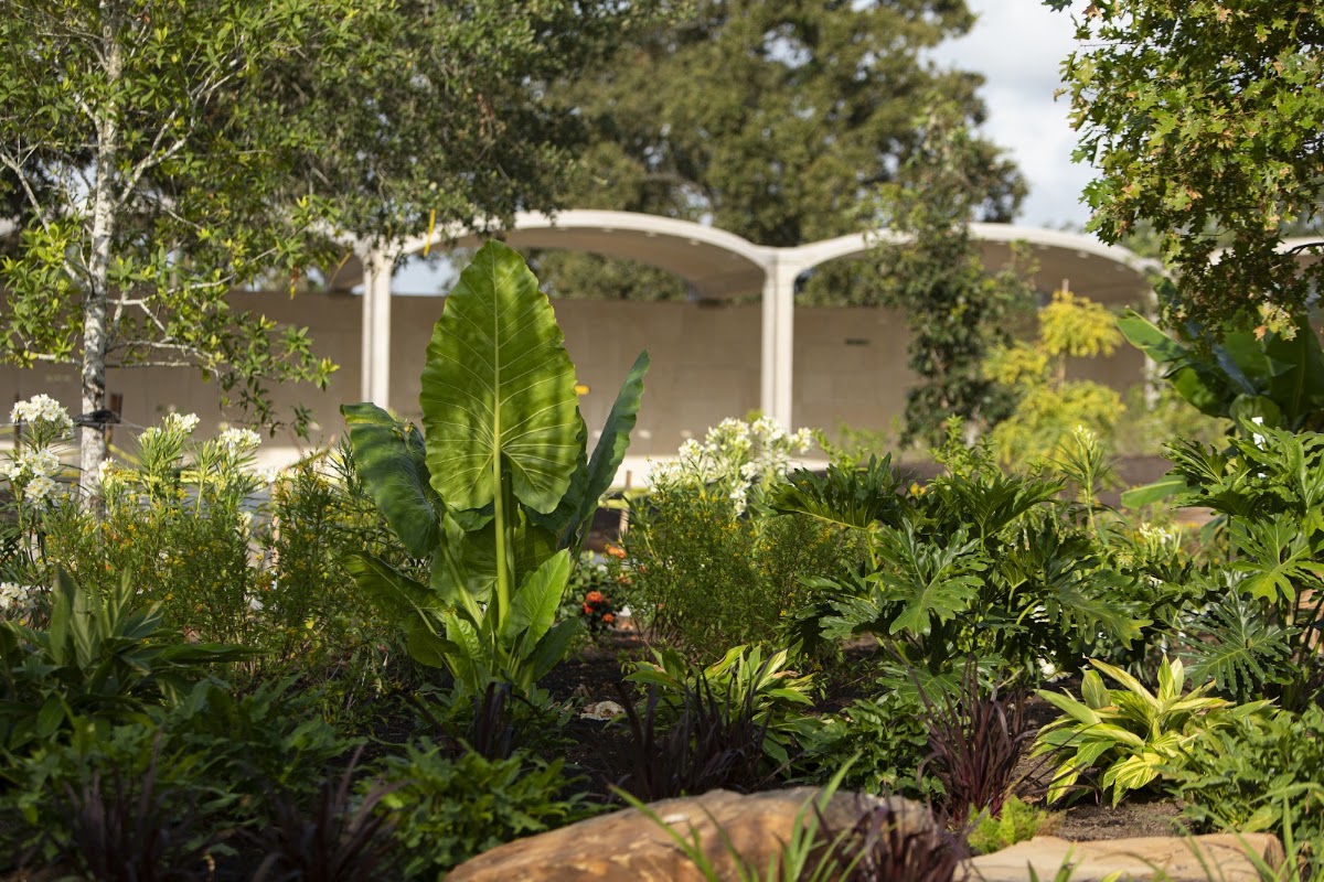 Houston Botanic Garden — tropical plantings in front of the garden's white canopy structures